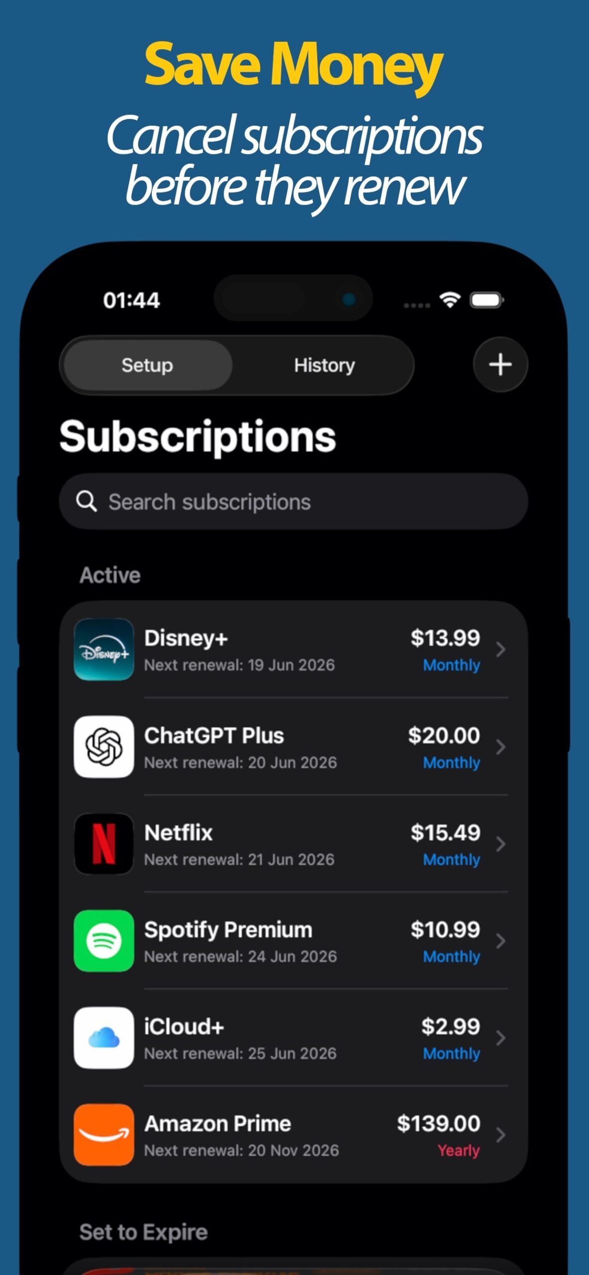 Active subscriptions with next renewal dates